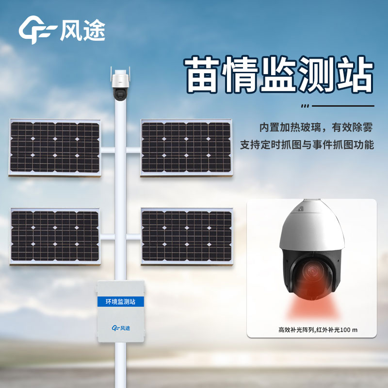 苗情站是干什么的？